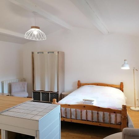 Apartmán Studio Avec Balcon Au Pied Du Rocher D'Aiguilhe Le Puy-en-Velay Exteriér fotografie