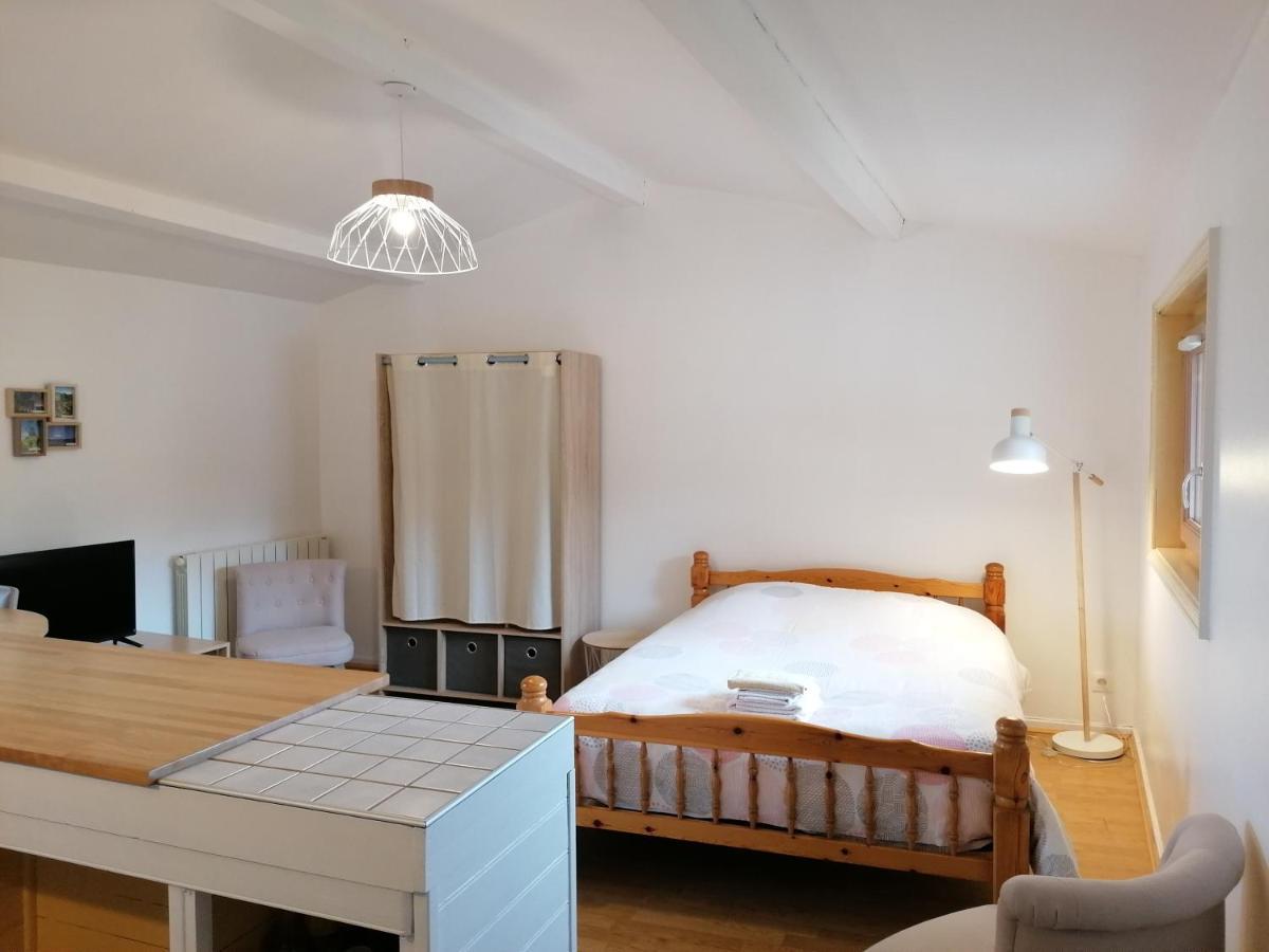 Apartmán Studio Avec Balcon Au Pied Du Rocher D'Aiguilhe Le Puy-en-Velay Exteriér fotografie